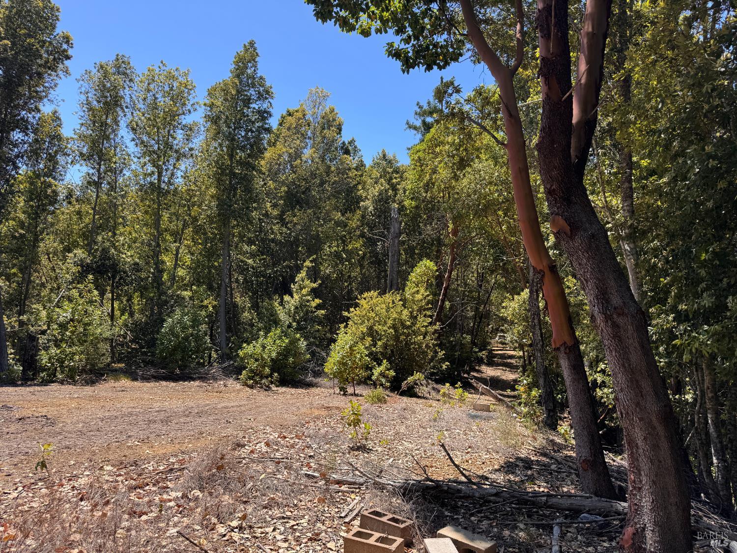 21530 Fort Ross Road Cazadero CA 95421
