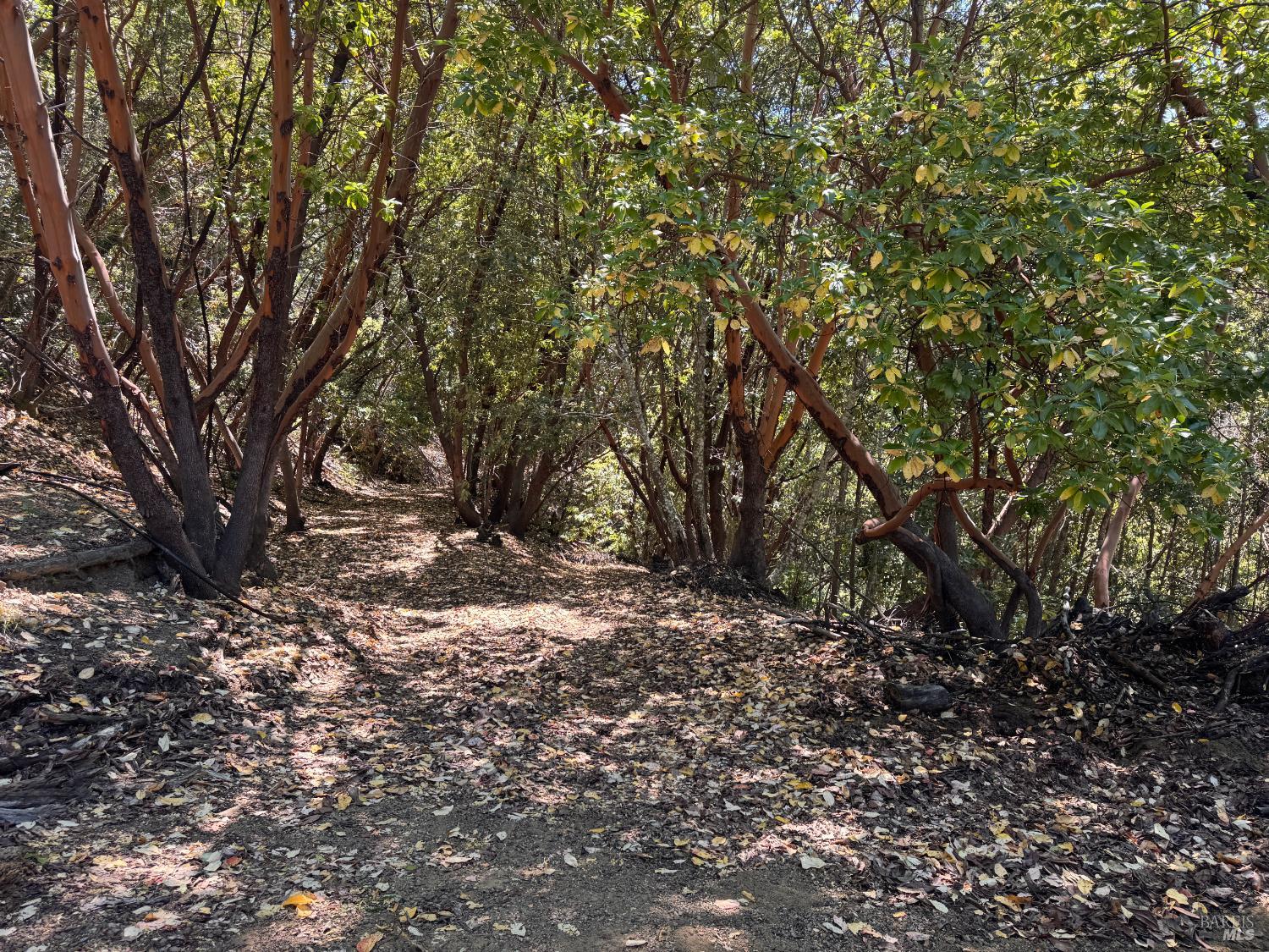 21530 Fort Ross Road Cazadero CA 95421