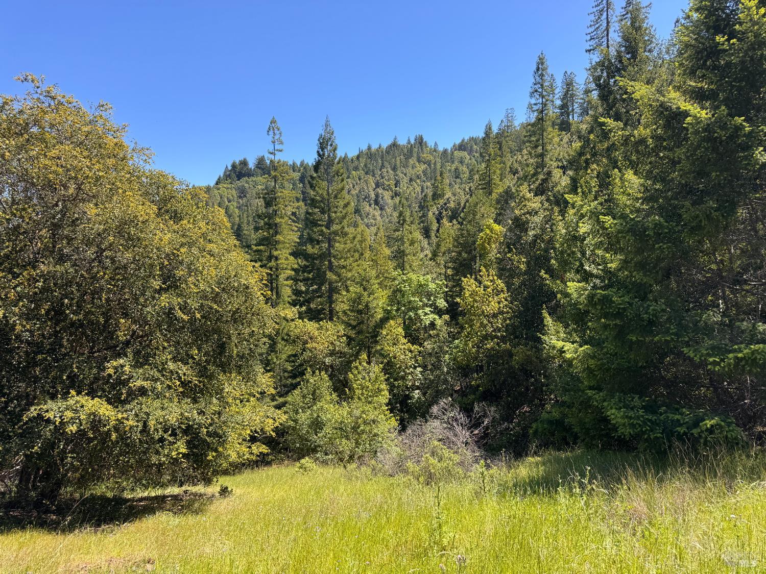 21530 Fort Ross Road Cazadero CA 95421