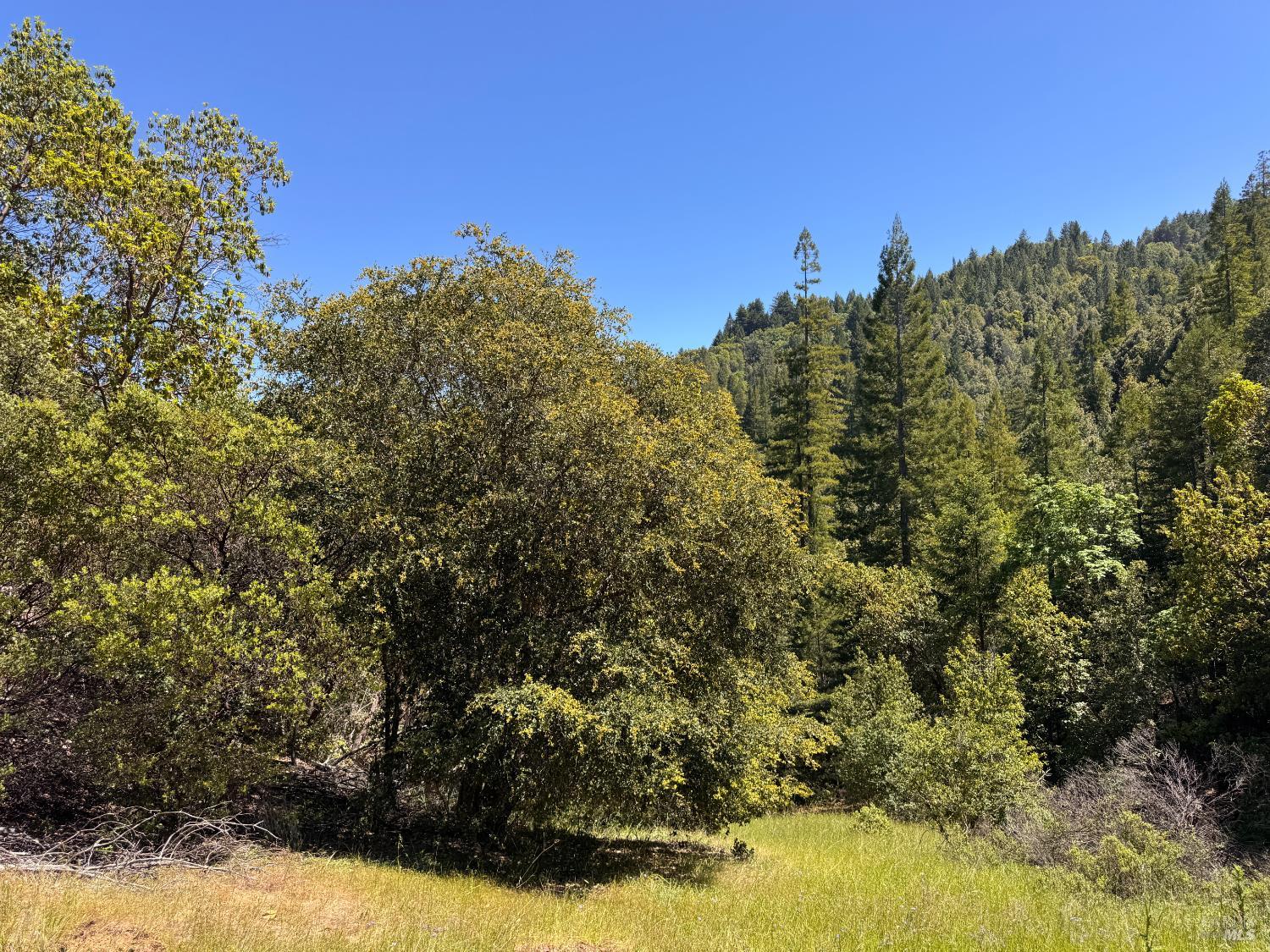 21530 Fort Ross Road Cazadero CA 95421
