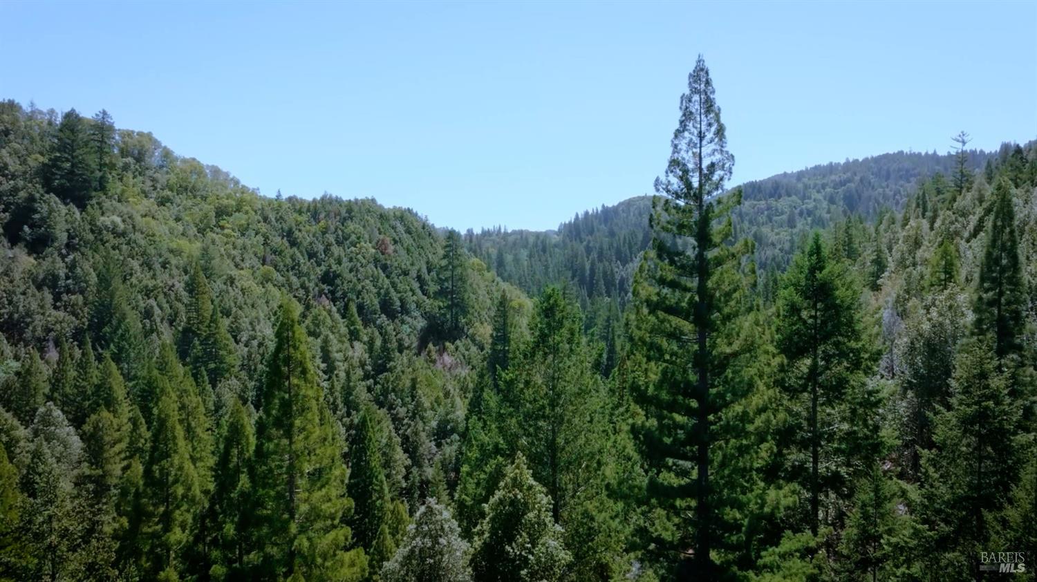 21530 Fort Ross Road Cazadero CA 95421