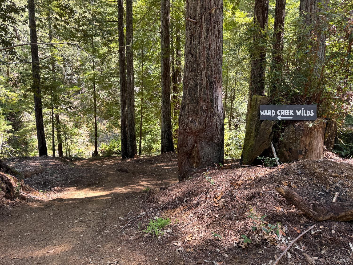 21530 Fort Ross Road Cazadero CA 95421