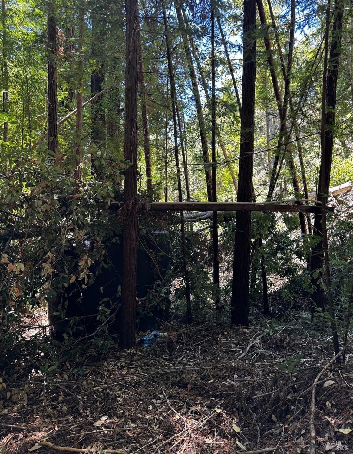 21530 Fort Ross Road Cazadero CA 95421