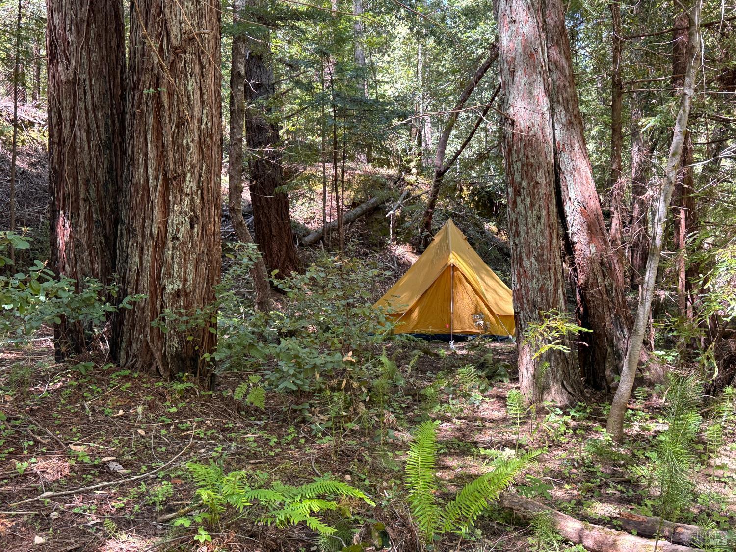 21530 Fort Ross Road Cazadero CA 95421