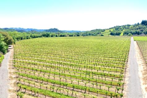 5520-1 W Soda Rock Lane Healdsburg CA 95448