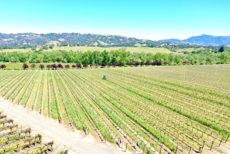 5520-1 W Soda Rock Lane Healdsburg CA 95448