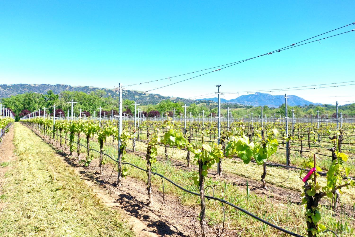 5520-1 W Soda Rock Lane Healdsburg CA 95448