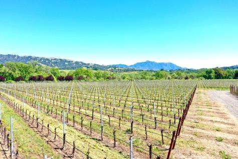 5520-1 W Soda Rock Lane Healdsburg CA 95448