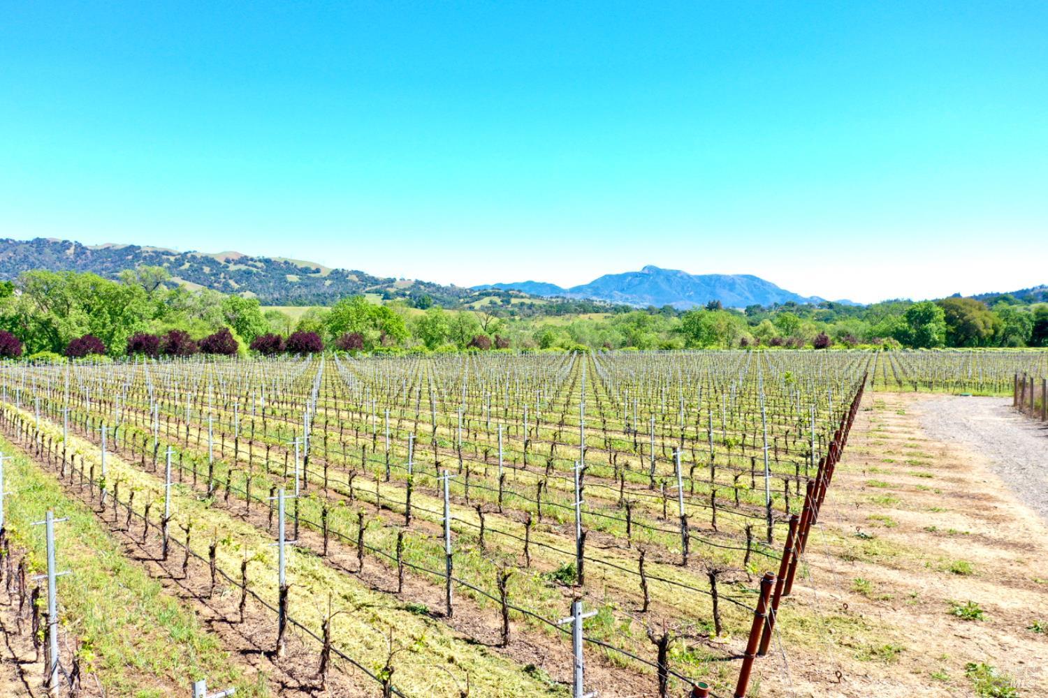 5520-1 W Soda Rock Lane Healdsburg CA 95448