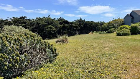 1815 Sea Way Bodega Bay CA 94923