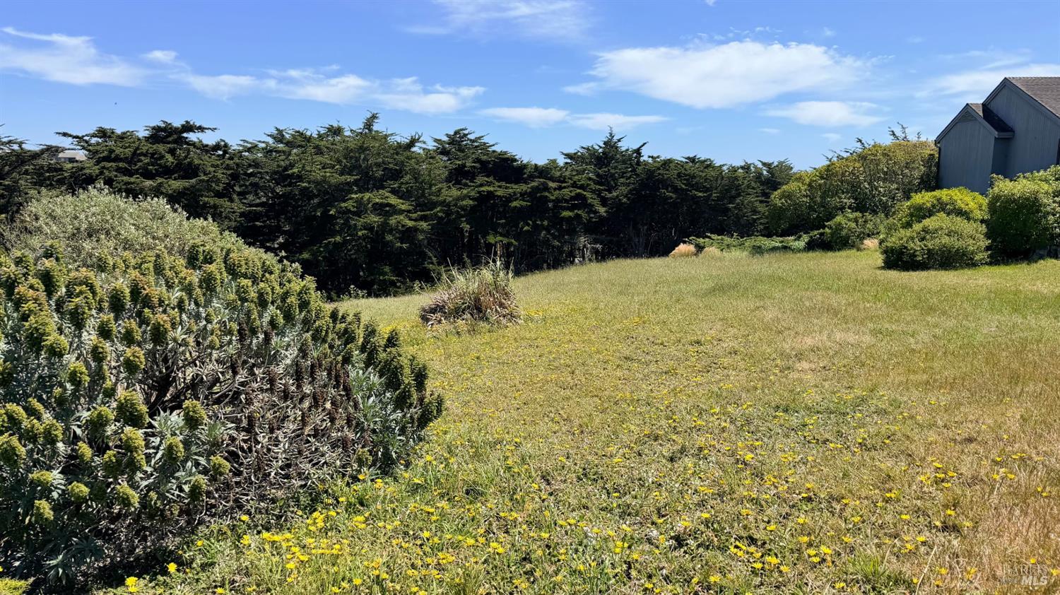1815 Sea Way Bodega Bay CA 94923