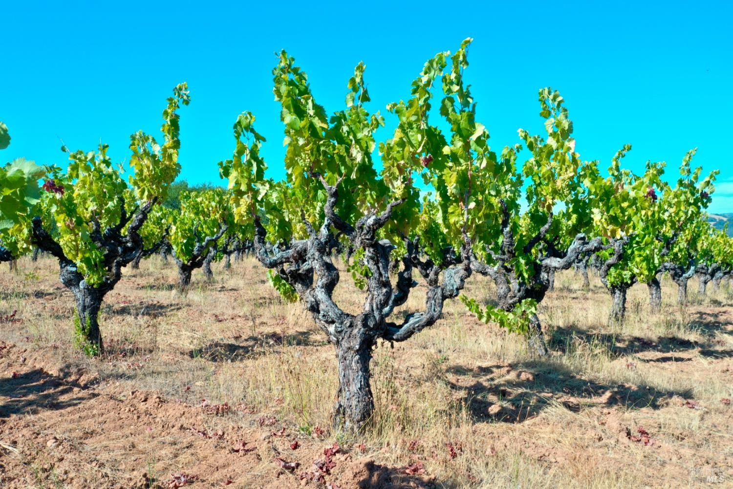 0 Dutcher Creek Road Healdsburg CA 95448