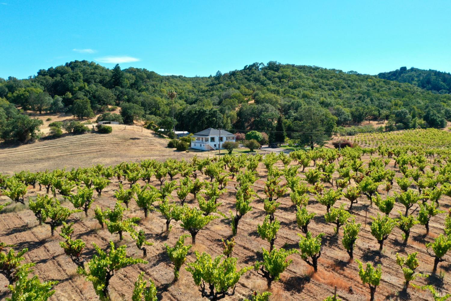 0 Dutcher Creek Road Healdsburg CA 95448