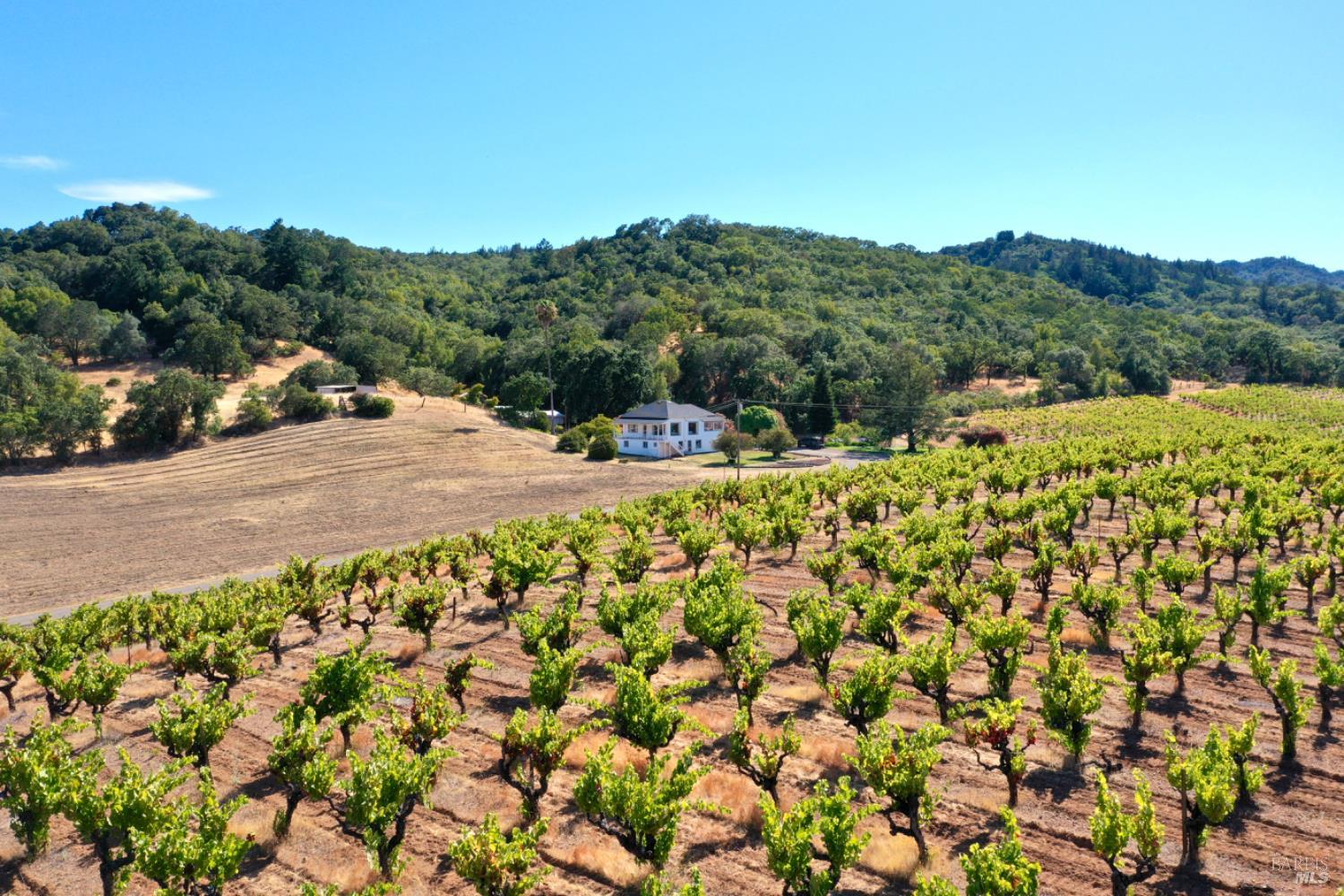 0 Dutcher Creek Road Healdsburg CA 95448