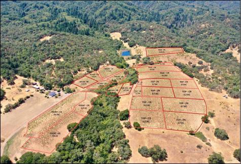 0 Dutcher Creek Road Healdsburg CA 95448
