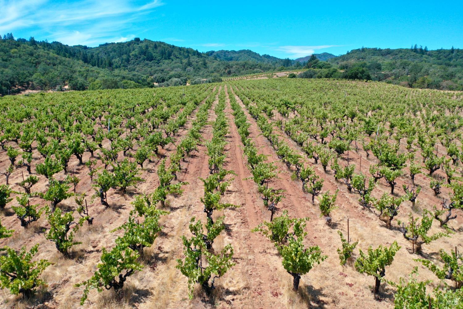0 Dutcher Creek Road Healdsburg CA 95448