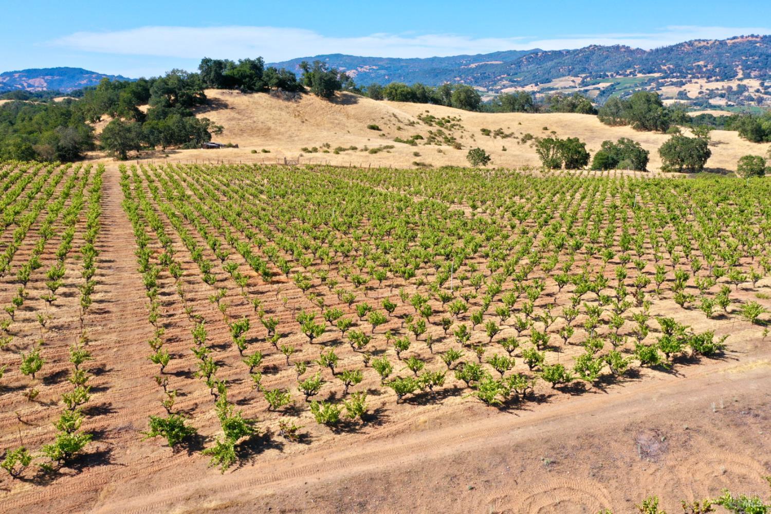 0 Dutcher Creek Road Healdsburg CA 95448