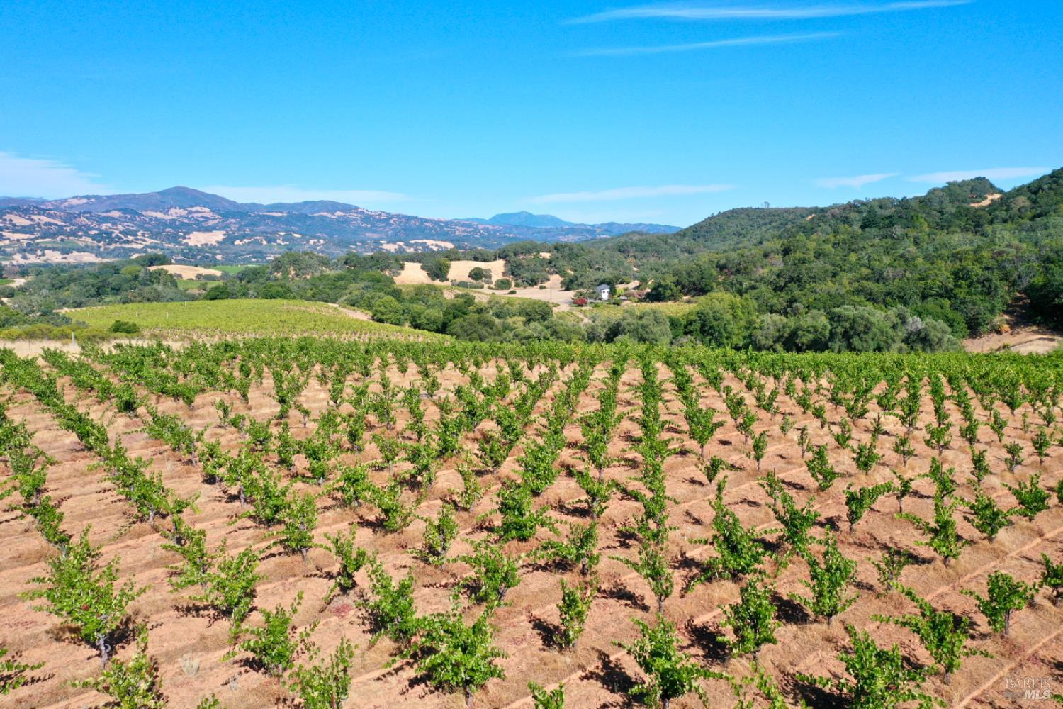 0 Dutcher Creek Road Healdsburg CA 95448