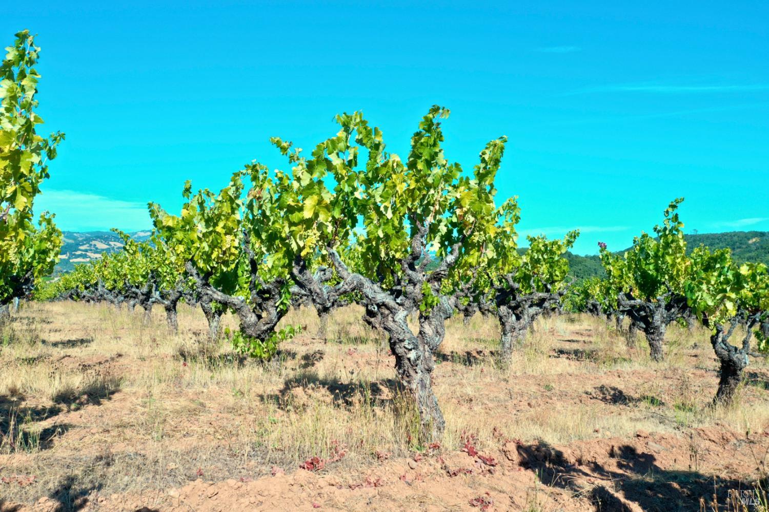 0 Dutcher Creek Road Healdsburg CA 95448