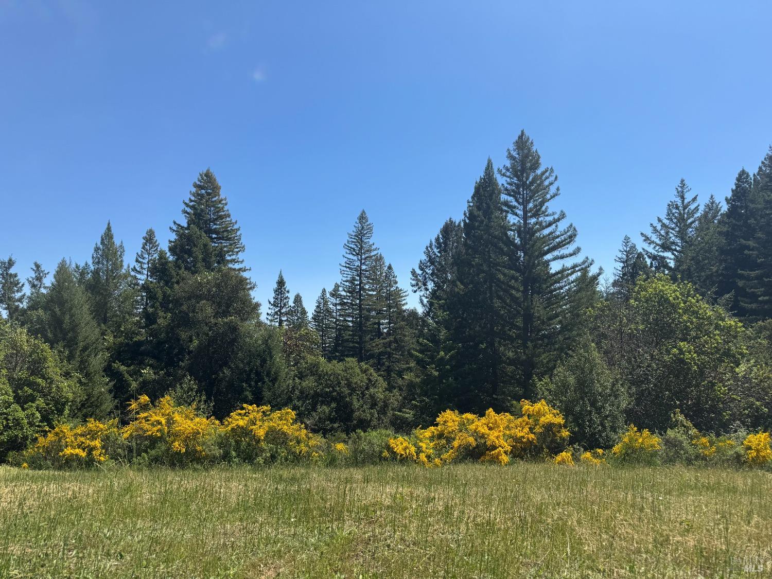 4579 Mill Creek Road Healdsburg CA 95448