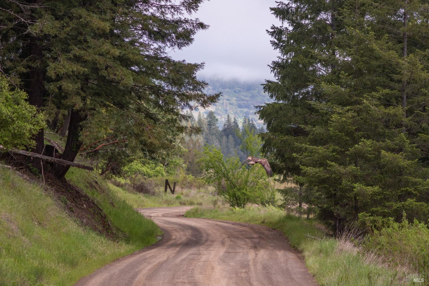 30131 Elkhorn Road Yorkville CA 95494
