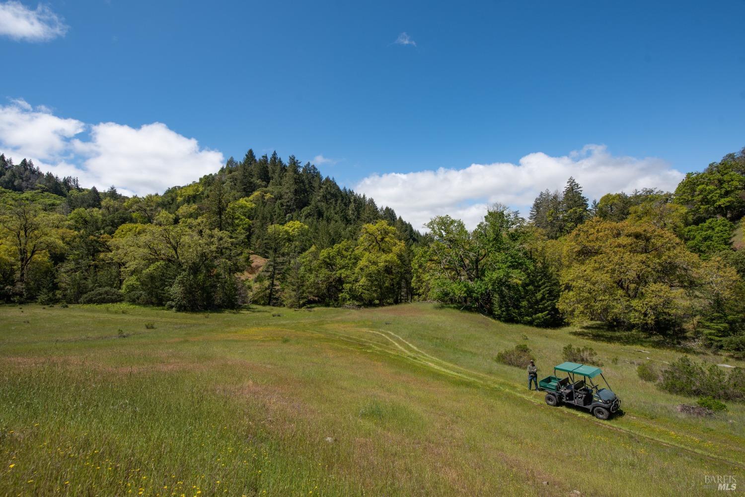 30131 Elkhorn Road Yorkville CA 95494