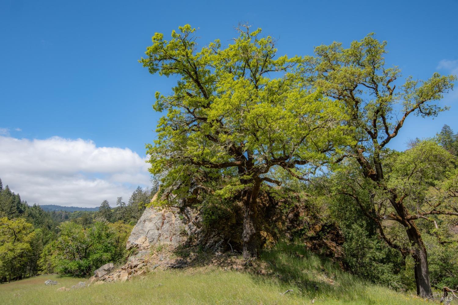 30131 Elkhorn Road Yorkville CA 95494