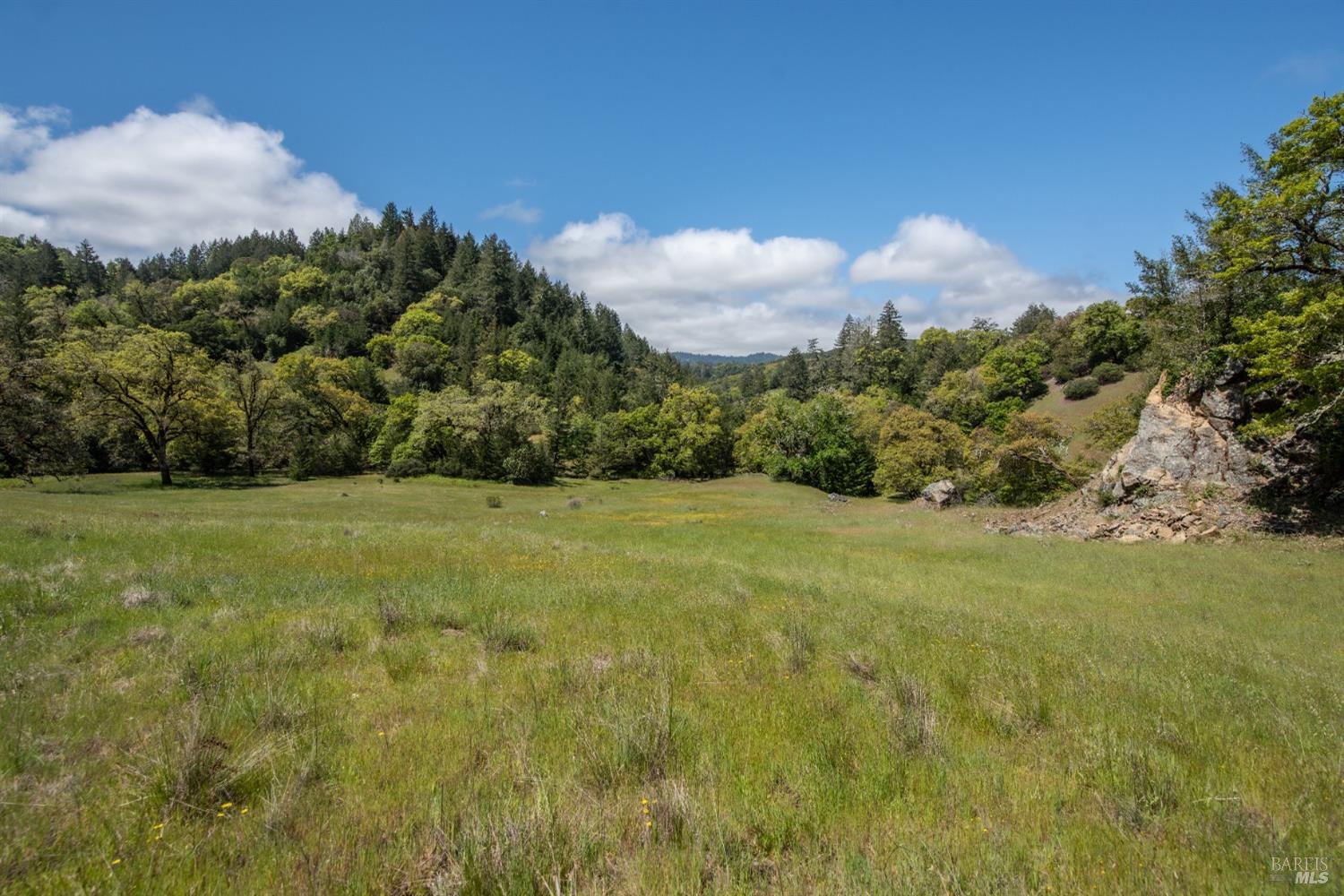 30131 Elkhorn Road Yorkville CA 95494