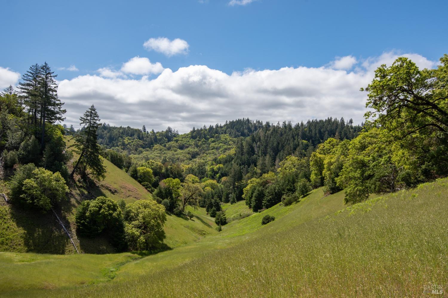 30131 Elkhorn Road Yorkville CA 95494