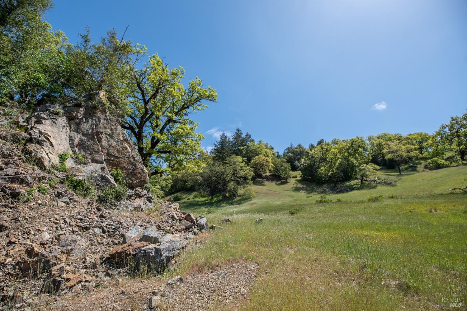 30131 Elkhorn Road Yorkville CA 95494