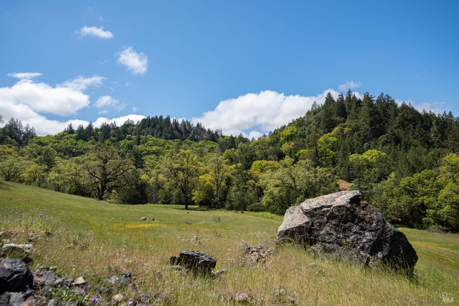 30131 Elkhorn Road Yorkville CA 95494