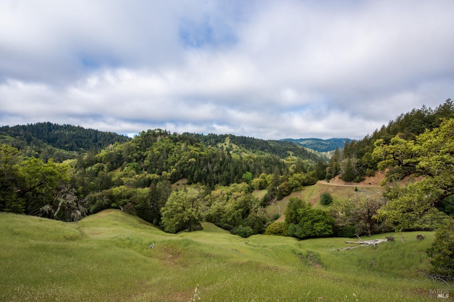 30131 Elkhorn Road Yorkville CA 95494