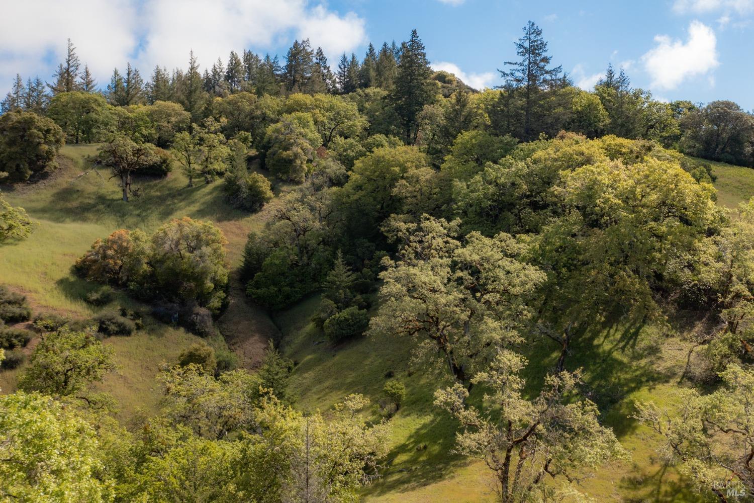 30131 Elkhorn Road Yorkville CA 95494