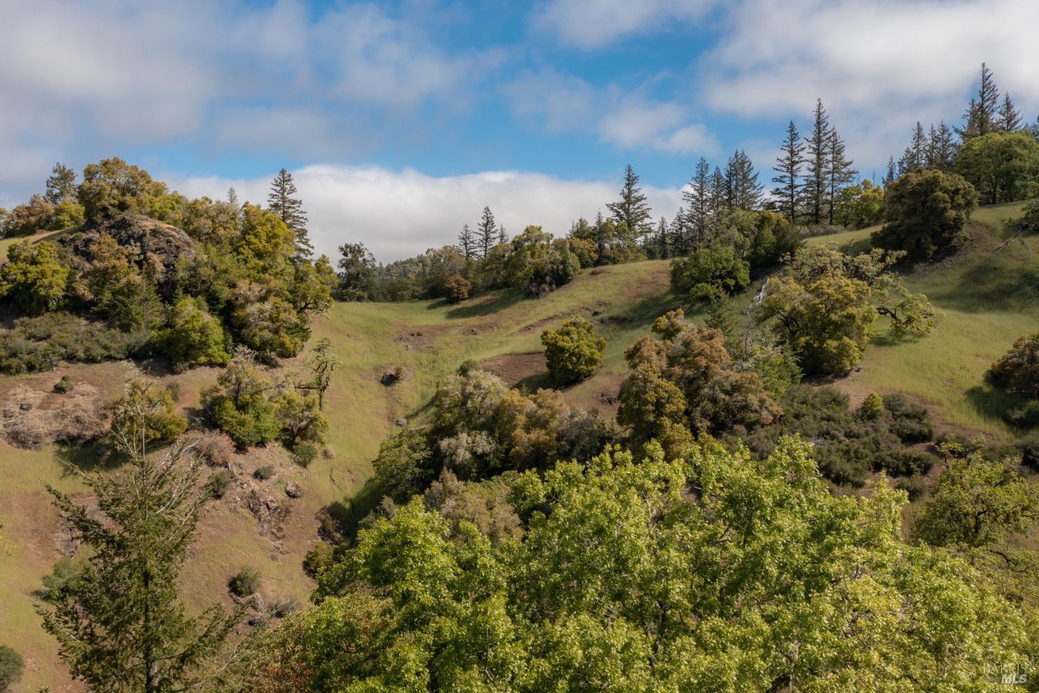 30131 Elkhorn Road Yorkville CA 95494