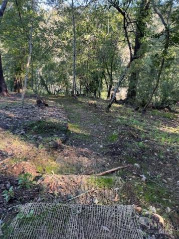 2491 Riverview Drive Healdsburg CA 95448