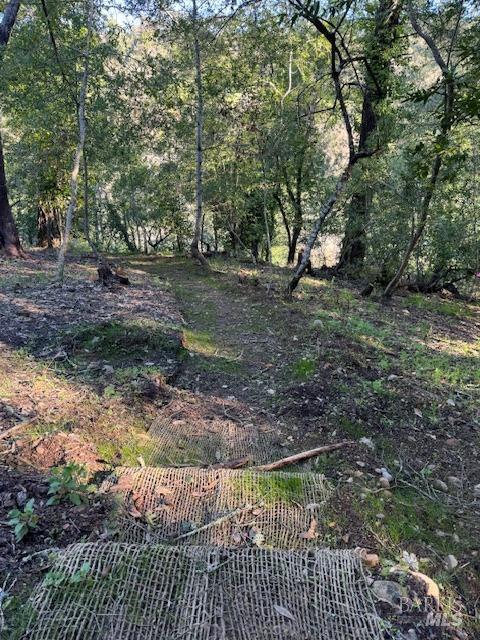 2491 Riverview Drive Healdsburg CA 95448
