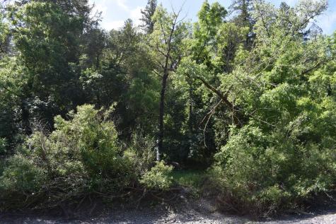 2491 Riverview Drive Healdsburg CA 95448