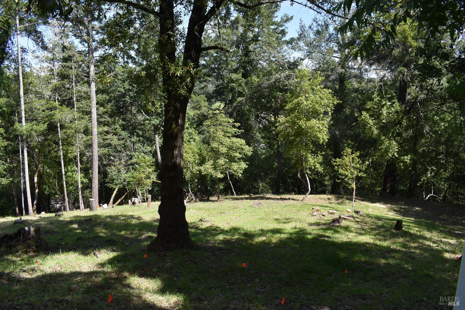 2491 Riverview Drive Healdsburg CA 95448
