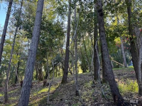 2491 Riverview Drive Healdsburg CA 95448