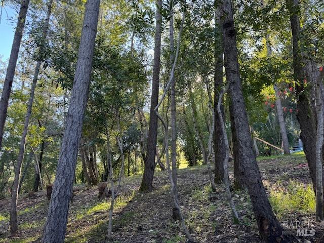 2491 Riverview Drive Healdsburg CA 95448