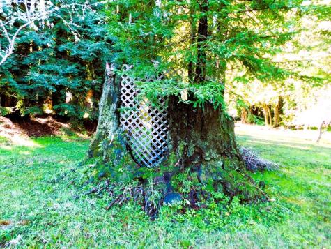 15900 Drake Road Guerneville CA 95446