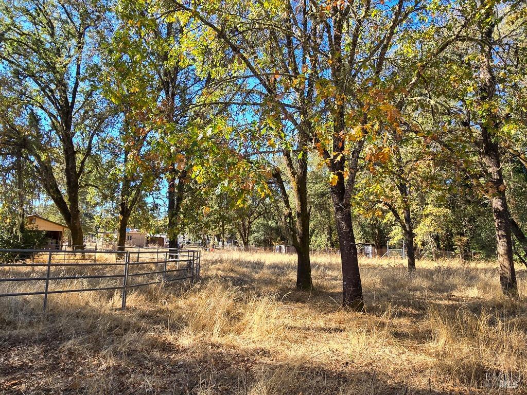 1540 Road D Redwood Valley CA 95470