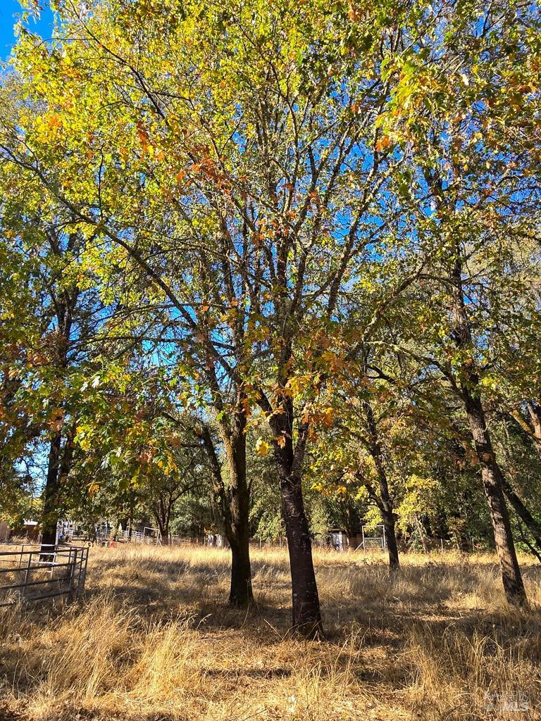 1540 Road D Redwood Valley CA 95470
