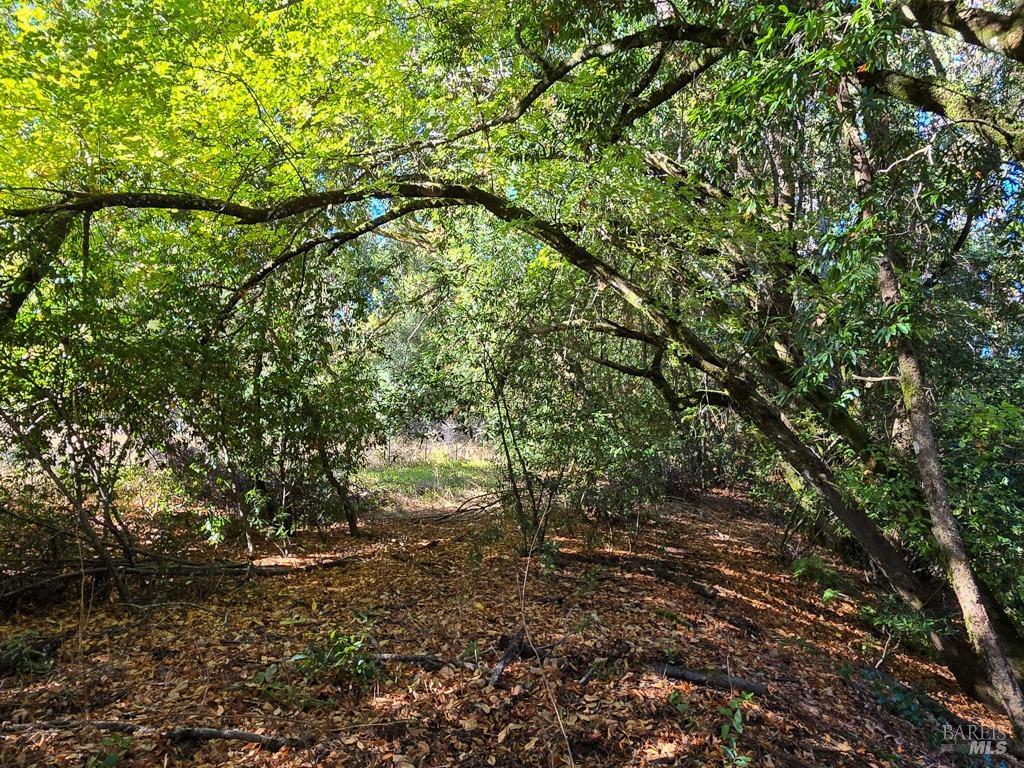 1540 Road D Redwood Valley CA 95470