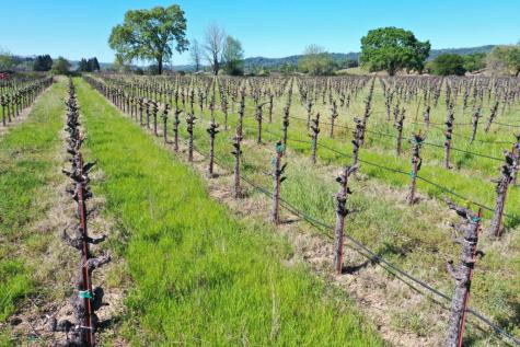 4304 Dry Creek Road Healdsburg CA 95448