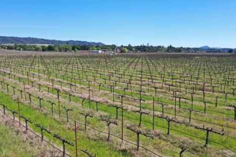 4304 Dry Creek Road Healdsburg CA 95448