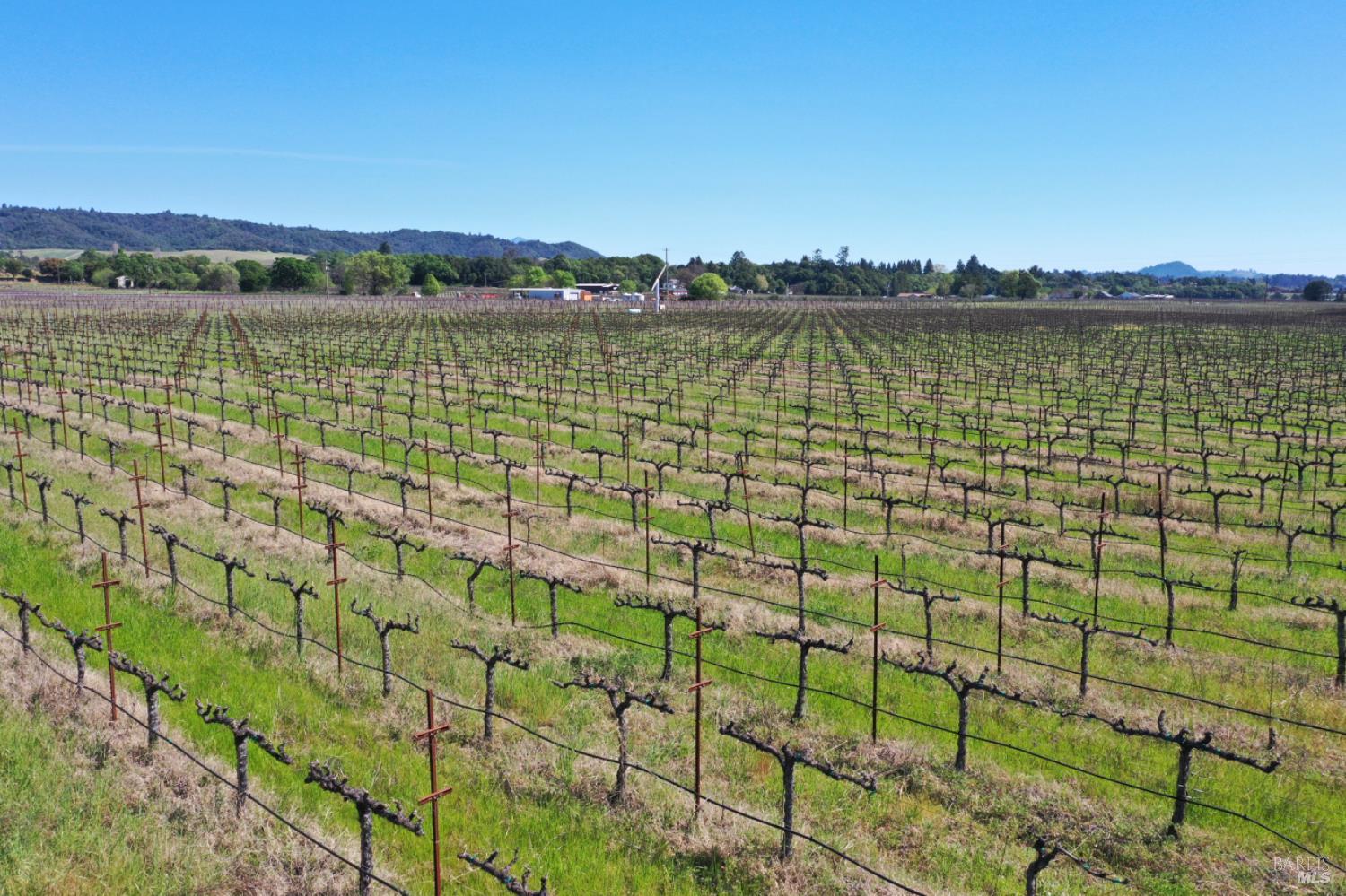 4304 Dry Creek Road Healdsburg CA 95448