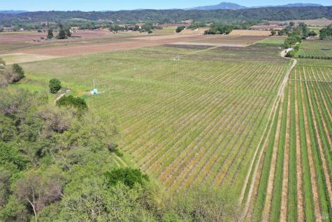 4304 Dry Creek Road Healdsburg CA 95448