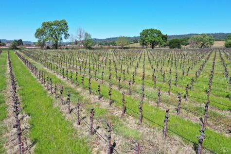 4304 Dry Creek Road Healdsburg CA 95448