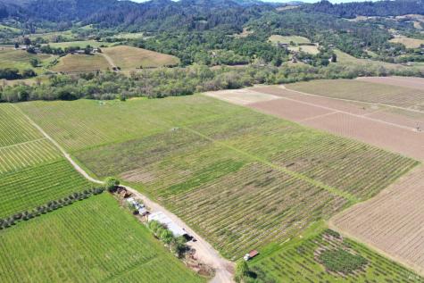 4304 Dry Creek Road Healdsburg CA 95448